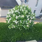 아파트 Haus Lorea Naehe Buetgenbacher