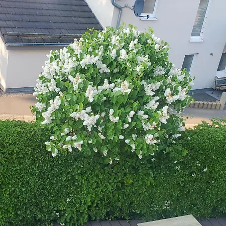 Διαμέρισμα Lorea In