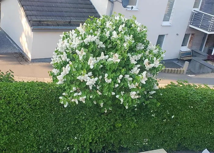 Διαμέρισμα Haus Lorea Naehe Buetgenbacher